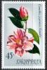 Colnect-2820-337-Japanese-camellia-Camellia-japonica.jpg