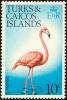 Colnect-3991-033-American-Flamingo-Phoenicopterus-Ruber.jpg