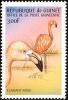 Colnect-3880-518-American-Flamingo-Phoenicopterus-ruber.jpg