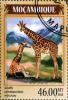 Colnect-3889-738-Giraffa-camelopardalis-reticulata.jpg