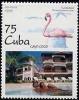Colnect-2518-363-Caribbean-Flamingo-Phoenicopterus-ruber.jpg