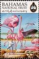 Colnect-3522-771-American-Flamingo-Phoenicopterus-ruber.jpg