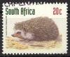 Colnect-1016-910-Southern-African-Hedgehog-Atelerix-frontalis.jpg