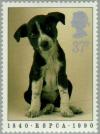 Colnect-122-674-Puppy-Canis-lupus-familiaris.jpg