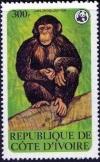 Colnect-1738-587-Chimpanzee-Pan-troglodytes.jpg