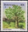 Colnect-1754-796-Baobab-Tree-Adansonia-digitata---with-Leaves.jpg
