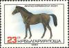 Colnect-2798-338-English-Arabian-Horse-Equus-ferus-caballus.jpg