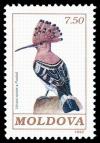 Colnect-348-278-Eurasian-Hoopoe-Upupa-epops.jpg