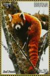 Colnect-4045-925-Red-Panda-Ailurus-fulgens.jpg