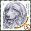 Colnect-5612-037-Romanian-Carpathian-Shepherd.jpg
