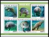 Colnect-5989-875-Amazonian-Manatee-Trichechus-inunguis.jpg