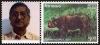 Colnect-6163-114-Indipex-2011---Indian-Rhinoceros-Rhinoceros-unicornis.jpg