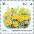 Colnect-131-492-Chrysanthemum-coronarium.jpg