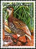 Colnect-1894-919-Double-spurred-Francolin%C2%A0Francolinus-bicalcaratus.jpg