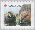 Colnect-2897-351-North-American-Beaver-Castor-canadensis.jpg