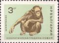 Colnect-3270-885-Chimpanzee-Pan-troglodytes.jpg