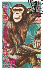 Colnect-4973-992-Chimpanzee-Pan-troglodytes.jpg