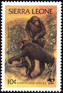 Colnect-1617-951-Chimpanzee-Pan-troglodytes.jpg