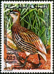 Colnect-1894-919-Double-spurred-Francolin%C2%A0Francolinus-bicalcaratus.jpg