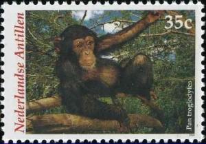 Colnect-1018-827-Chimpanzee-Pan-troglodytes.jpg