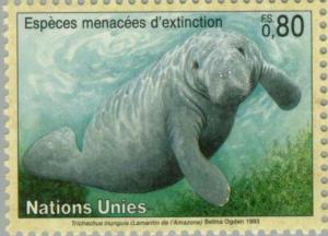 Colnect-138-478-Amazonian-Manatee-Trichechus-inunguis.jpg