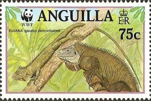 Colnect-1750-210-Lesser-Antillean-Iguana-Iguana-delicatissima.jpg