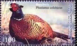 Colnect-1759-617-Common-Pheasant-nbsp-Phasianus-colchicus.jpg