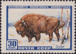 Colnect-1961-889-European-Bison-Bison-bonasus.jpg