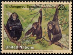 Colnect-2560-682-Chimpanzee-Pan-troglodytes.jpg