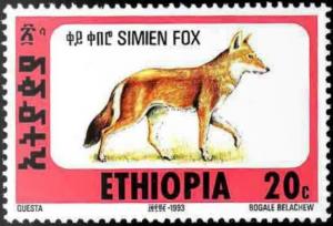 Colnect-2774-738-Ethiopian-Wolf-Canis-simensis.jpg