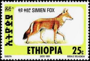 Colnect-2774-739-Ethiopian-Wolf-Canis-simensis.jpg