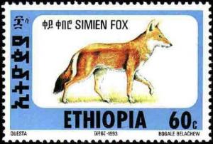 Colnect-2774-747-Ethiopian-Wolf-Canis-simensis.jpg