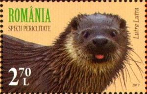 Colnect-4068-477-Eurasian-otter---Lutra-lutra.jpg