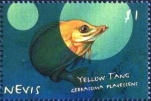 Colnect-4411-304-Yellow-tang-zebrafoma-plavescens.jpg