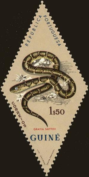 Colnect-4489-196-Smith-s-African-Water-Snake-Grayia-smythii.jpg