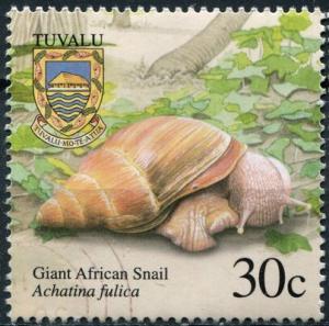 Colnect-6217-559-Giant-African-Snail.jpg