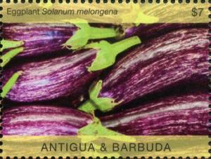 Colnect-6446-196-Eggplant-Solanum-melongena.jpg