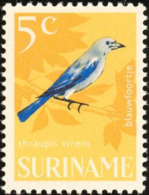 Colnect-993-999-Blue-grey-Tanager-Thraupis-episcopus.jpg