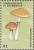 Colnect-3226-462-Amanita-brunnescens.jpg