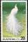 Colnect-1614-804-White-Indian-Peafowl-Pavo-cristatus.jpg