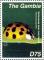 Colnect-3611-912-Multicolored-Asian-Lady-Beetle-Harmonia-axyridis.jpg