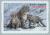 Colnect-3558-727-Snow-Leopard-Panthera-uncia-syn-Uncia-uncia.jpg