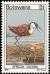 Colnect-597-431-African-Jacana-Actophilornis-africana.jpg