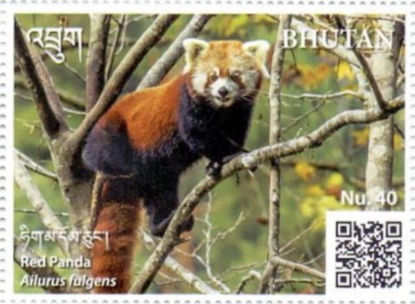 Colnect-5577-082-Red-Panda-Ailurus-fulgens.jpg