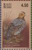 Colnect-2543-526-Painted-Francolin-Francolinus-pictus.jpg