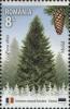 Colnect-5895-417-European-Spruce-Picea-abies.jpg