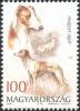 Colnect-500-316-Hungarian-Greyhound-Canis-lupus-familiaris-European-Hare-.jpg