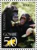 Colnect-1693-156-Chimpanzee-Pan-troglodytes.jpg