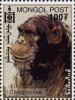 Colnect-1292-048-Chimpanzee-Pan-troglodytes.jpg