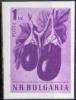 Colnect-1656-898-Eggplant-Solanum-melongena.jpg